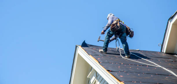 Best Roof Gutter Cleaning  in Destrehan, LA